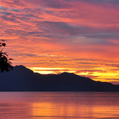 Serge Gainsbourg - Bonnie & Clyde (French Accent Remix)Mr. T