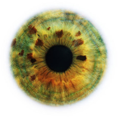 Parallel Worlds (beware Of The Tree of Science)