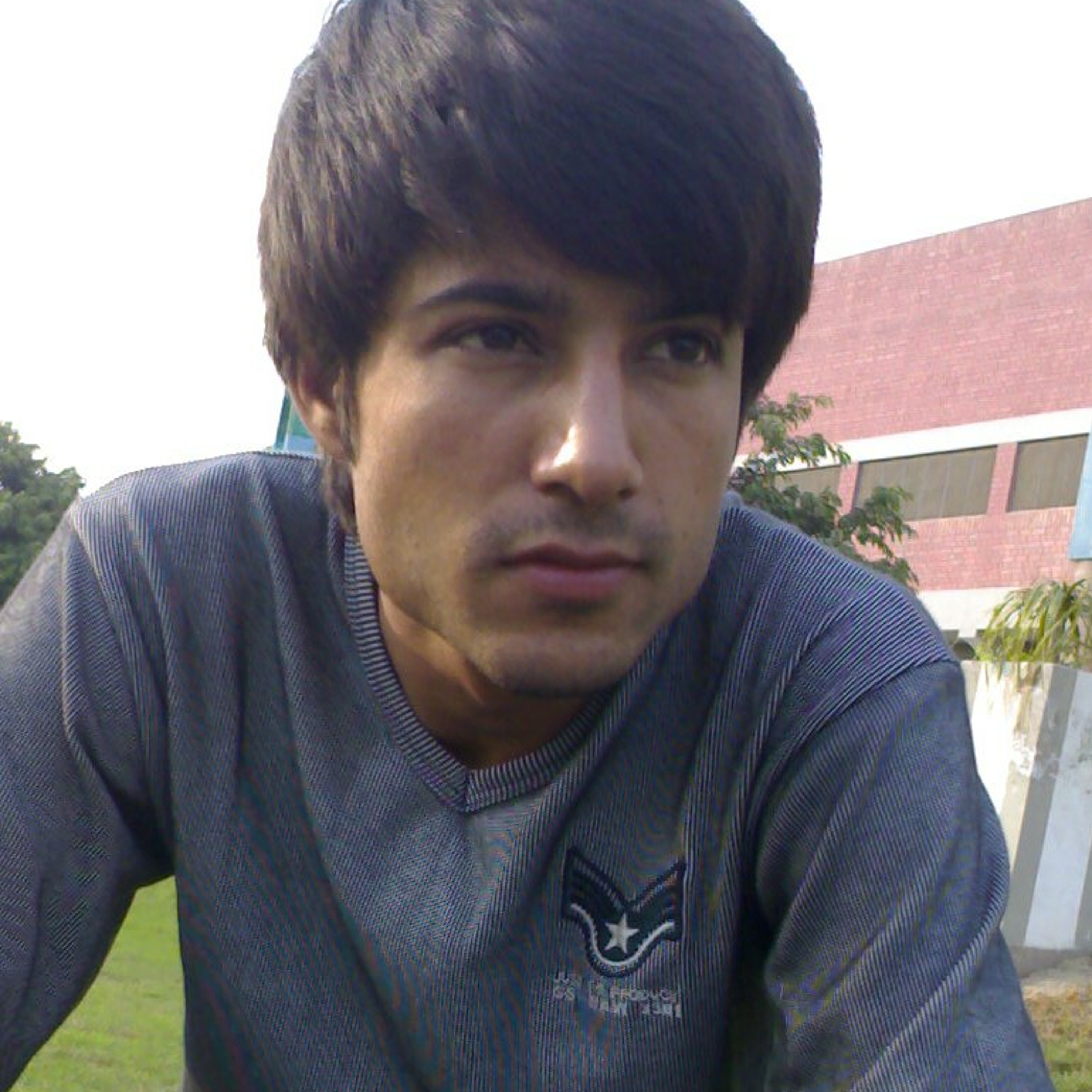 Sheharyarteetu