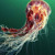 Artwork for Danny Breaks - The Jellyfish