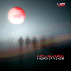 3. Drukverdeler & DJ Bim - Requiem To A Dream