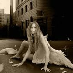 Will King'z = Who Takes The Fall