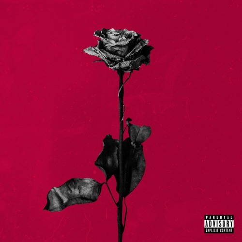 CASJ PROD - BLACKBEAR - DEAD ROSES FIX (PROMO)