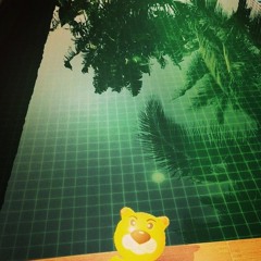 Lakin - tiger at pool