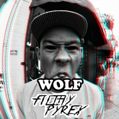 Filthy Pyrex - Tyler's Interview (Forthcoming Damaged Sounds )