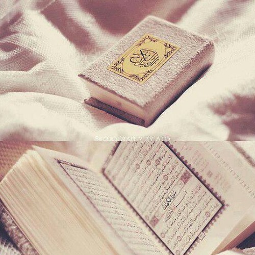 مرثية الشهيد ذوالفقار