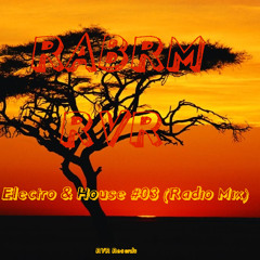 RABRM - Electro & House #03 (Radio Mix)