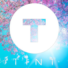 TINTmix - Showdown