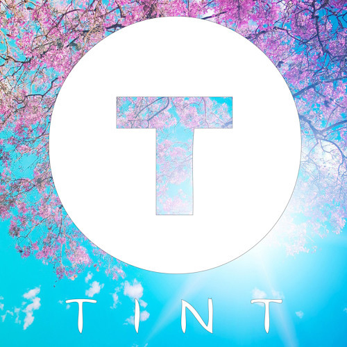 TINTmix - Showdown
