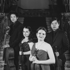 The Lysander Quartet - Mendelssohn, String Quartet No. 2, Op. 13, IV. Presto