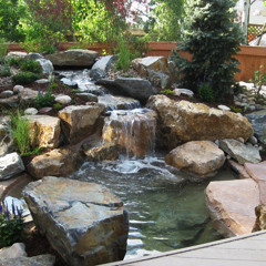 Tranquil Yard | 2007