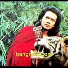 Rhoma Irama - Ani By David Menyan