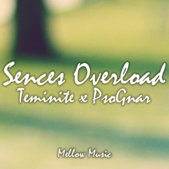 Teminite x PsoGnar - Senses Overload