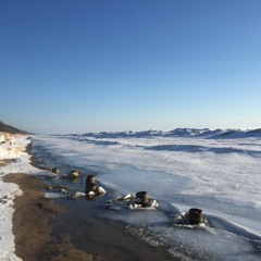 Cold Beauty