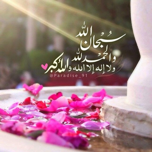 الشيخ محمد أيوب  at سورة النبأ.. رااااائعه