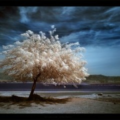 Cuando casi maté mis sueños