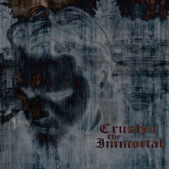 SO Serious II (Pins and Needle remix)