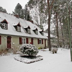 LW - "Moody Theme" into "Family Theme"