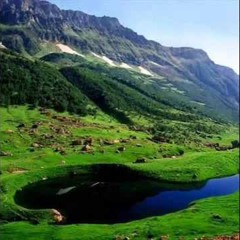 حور العين تسبيني