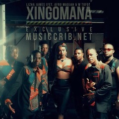 Lizha James Feat Afro Madjah & W Tofo em Xingomana(Remix)