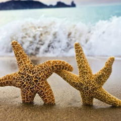 Roza Lemon - Echoes Of Love