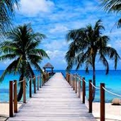 Summer set live 2015