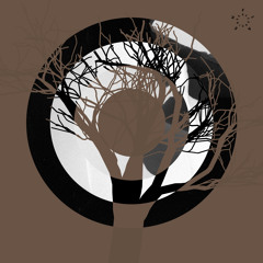 Avgusto - 0011