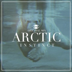Arctic (Original Mix)