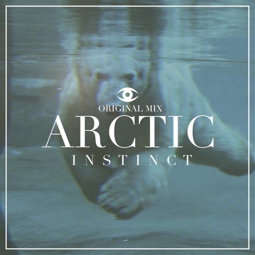Arctic (Original Mix)