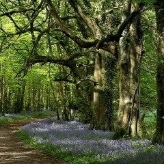 "I Am" - Jessie Zifarelli