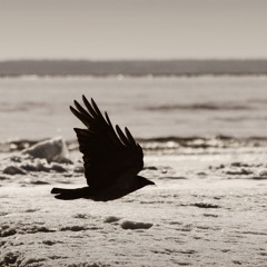 Üheksandaks laineks