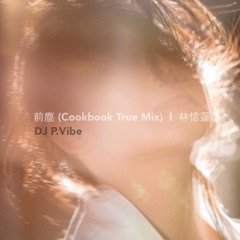 前塵 (Cookbook True Mix)  .  林憶蓮  .  by DJ P.Vibe