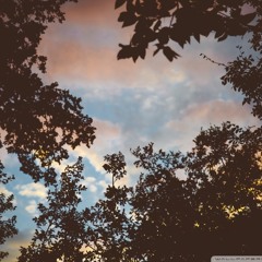 Lomosonic : แรง