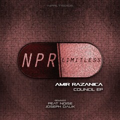 Amir Razanica - Empy Rack (Original Mix) CUT