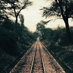 Ishqzaade title credited at Ishqzadee