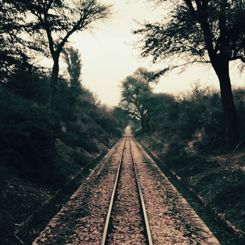 Ishqzaade title credited at Ishqzadee