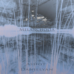 Ashot Danielyan - Lost and Delirious