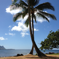 PartyPreet - DeepHouse Poolside Live Mix