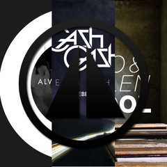 Alvita Vs. Cash Cash Vs. Alvaro - Paradoxx / Take Me Home / Oldskool (Rushad Mashup)