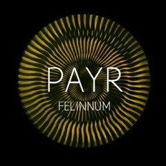 PAYR (Original Mix) - Felinnum