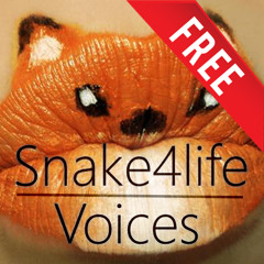 Snake4life - Voices (Original Mix)