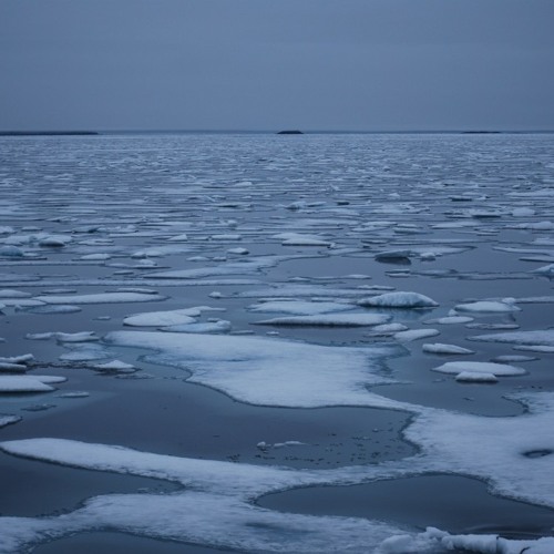 Arctic Symphony, III. Aboard the Amundsen