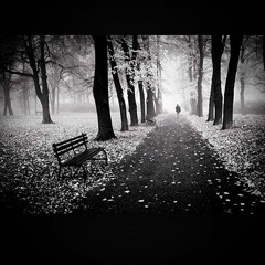 ؏رآحلون ولـا رجو