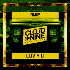 Amir - Luv 4 U (Original Mix) #21 ELECTRO HOUSE CHARTS