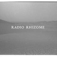Radio Rhizome theme