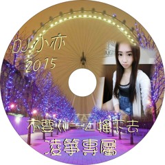DJ 小亦 2015 不要ㄍㄧㄥ搖下去(凌箏專屬)