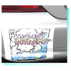 Wildest Dreams
