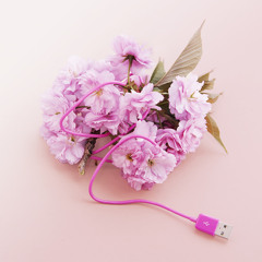 what_happens_in_may_with_may_waver