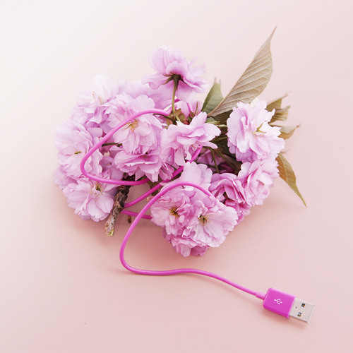 what_happens_in_may_with_may_waver