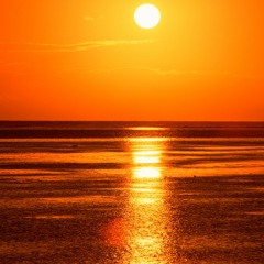 Svend Berg & Vasuky Jayapalan - Masil Veenaiyum